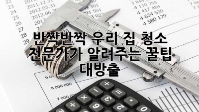 ✨반짝반짝✨ 우리 집, 청소 전문가가 알려주는 꿀팁 대방출! 🏠