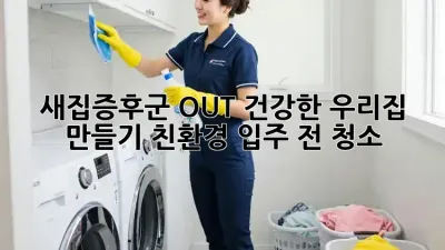 새집증후군 OUT! 건강한 우리집 만들기: 친환경 입주 전 청소