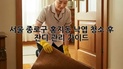 서울 종로구 홍지동 낙엽 청소 후 잔디 관리 가이드