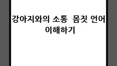 행복한 산책, 훈련으로 시작해요! 강아지 복종 훈련 가이드